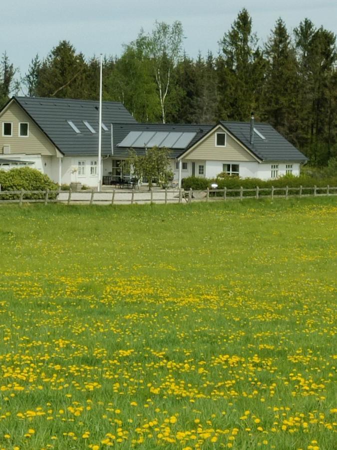 Rosengård Leilighet Hammel Eksteriør bilde