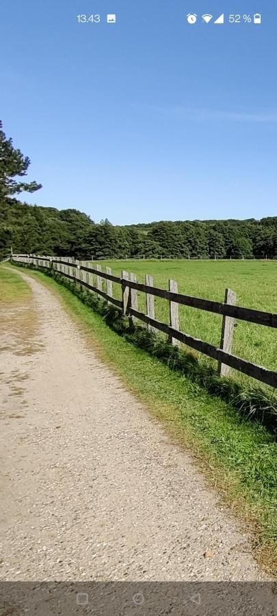 Rosengård Leilighet Hammel Eksteriør bilde