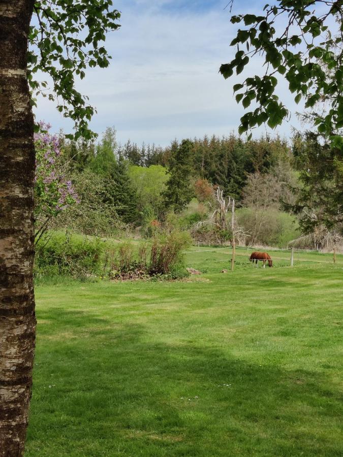 Rosengård Leilighet Hammel Eksteriør bilde